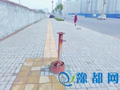 郑州10厘米钢管拦道1年半 办事处：尽快还路于民