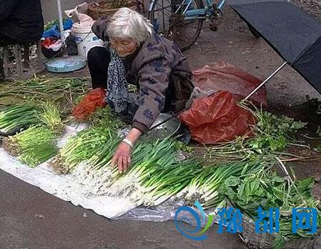 郑徐高铁运行图发布 列车时刻表票价有待确认