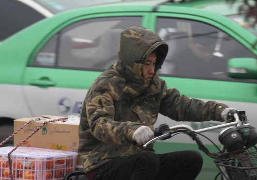 小大降温！郑州市仄易远陌头御热花着多