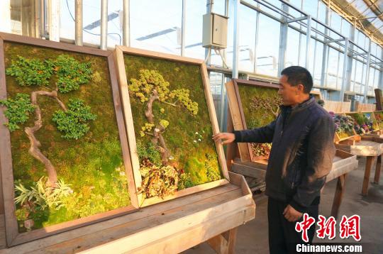 郑州园艺师创作植物壁画 重量约50斤可挂墙上